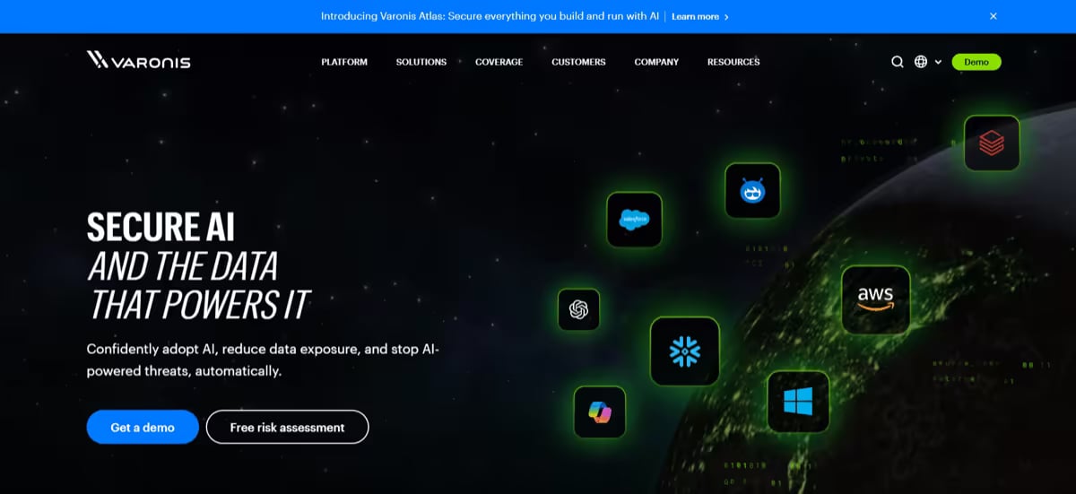Varonis Website Screenshot