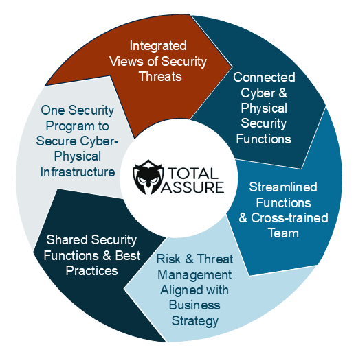 Physical and cyber security graphic